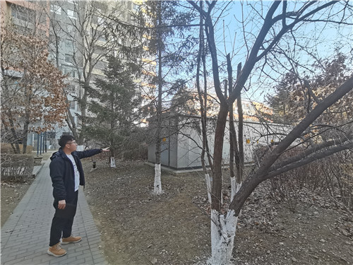 赵书彭