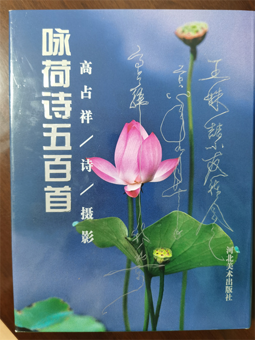 悼念高6 悼念高6