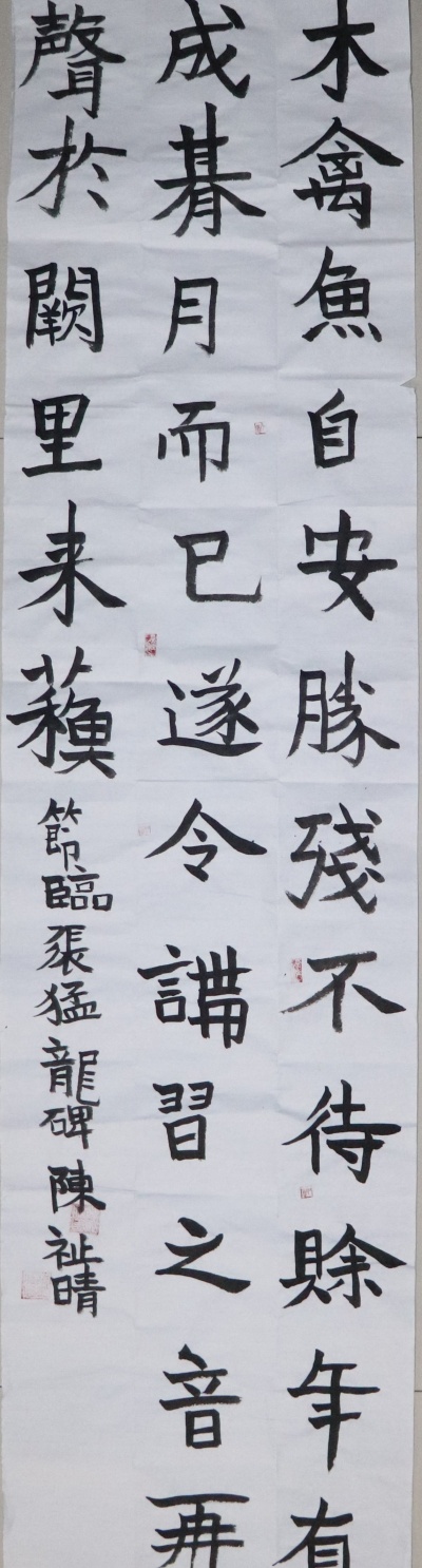 陈祉晴书法-张猛龙碑